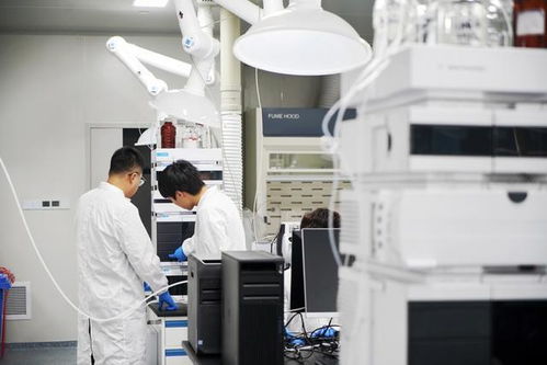 樣機(jī)變產(chǎn)品,上海服務(wù)機(jī)構(gòu)走通 概念驗(yàn)證 科技服務(wù)如何按下快進(jìn)鍵 下